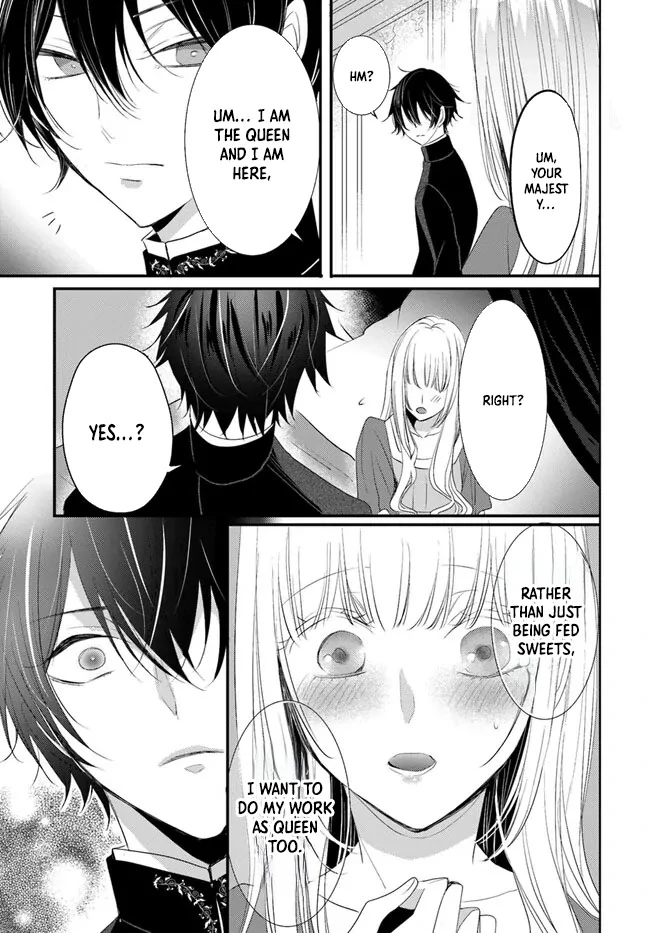 Kokurou Ou to Shirogane no Niehime Chapter 4 page 26