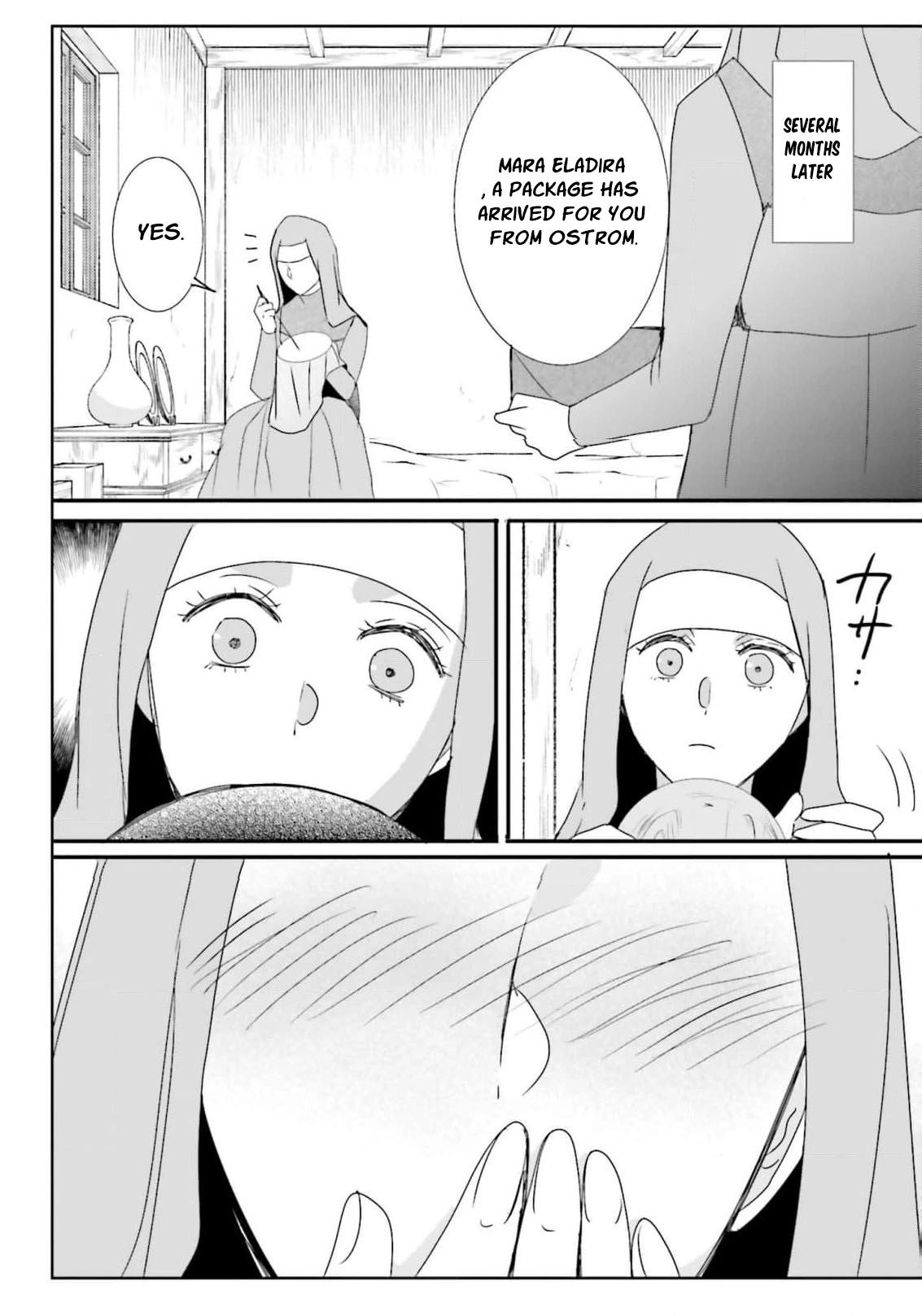 Kokurou Ou to Shirogane no Niehime Chapter 53 page 17