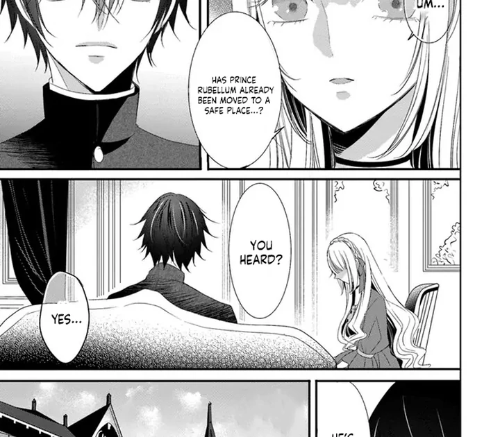 Kokurou Ou to Shirogane no Niehime Chapter 8 page 14