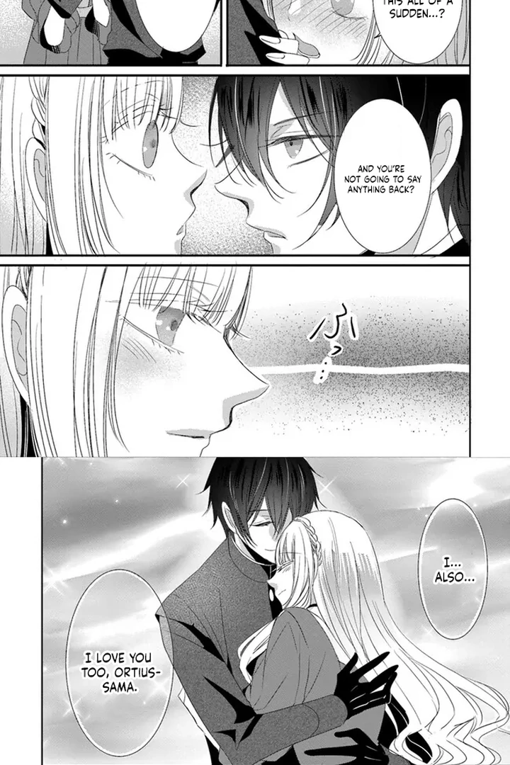 Kokurou Ou to Shirogane no Niehime Chapter 8 page 17