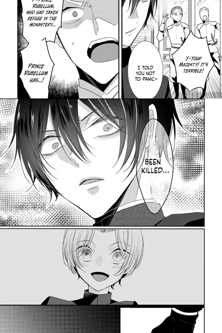 Kokurou Ou to Shirogane no Niehime Chapter 8 page 24