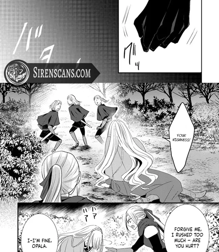 Kokurou Ou to Shirogane no Niehime Chapter 8 page 25