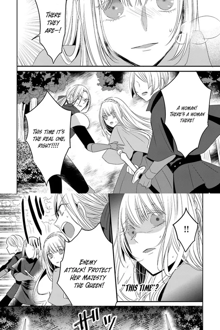 Kokurou Ou to Shirogane no Niehime Chapter 8 page 28