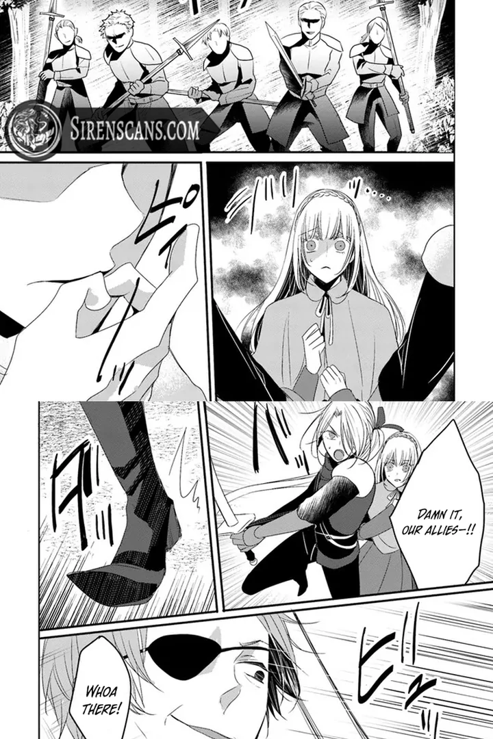 Kokurou Ou to Shirogane no Niehime Chapter 8 page 29