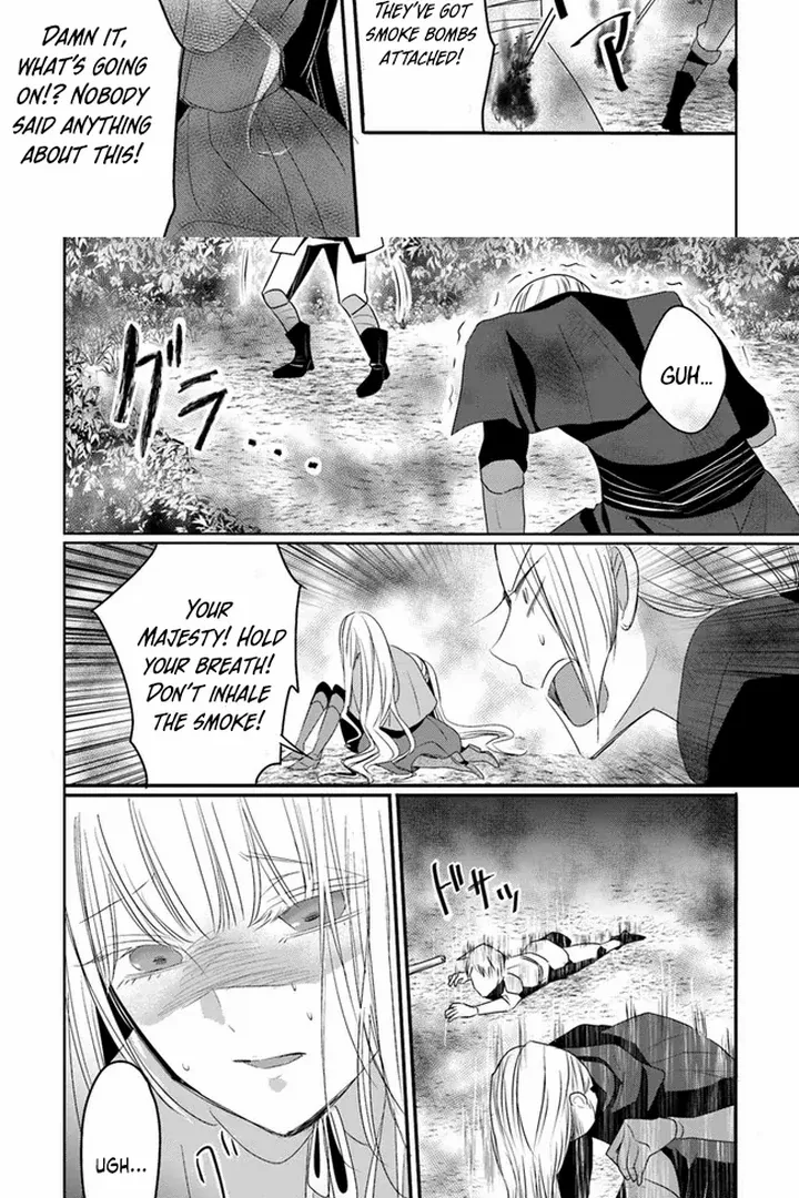 Kokurou Ou to Shirogane no Niehime Chapter 8 page 37