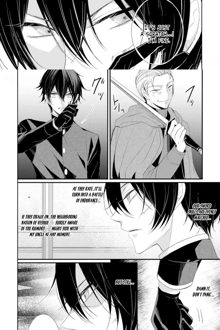 Kokurou Ou to Shirogane no Niehime Chapter 9 page 17