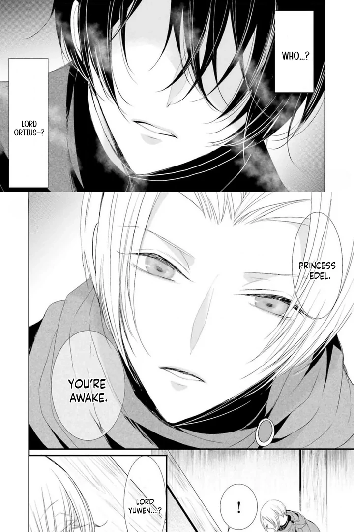 Kokurou Ou to Shirogane no Niehime Chapter 9 page 25