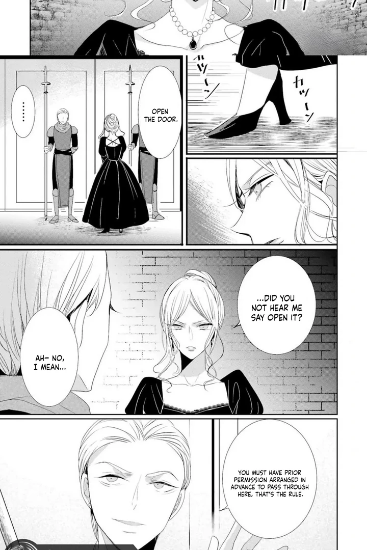 Kokurou Ou to Shirogane no Niehime Chapter 9 page 30