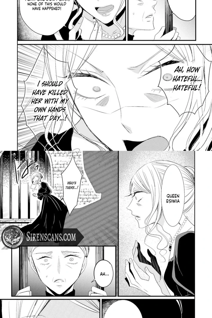 Kokurou Ou to Shirogane no Niehime Chapter 9 page 36