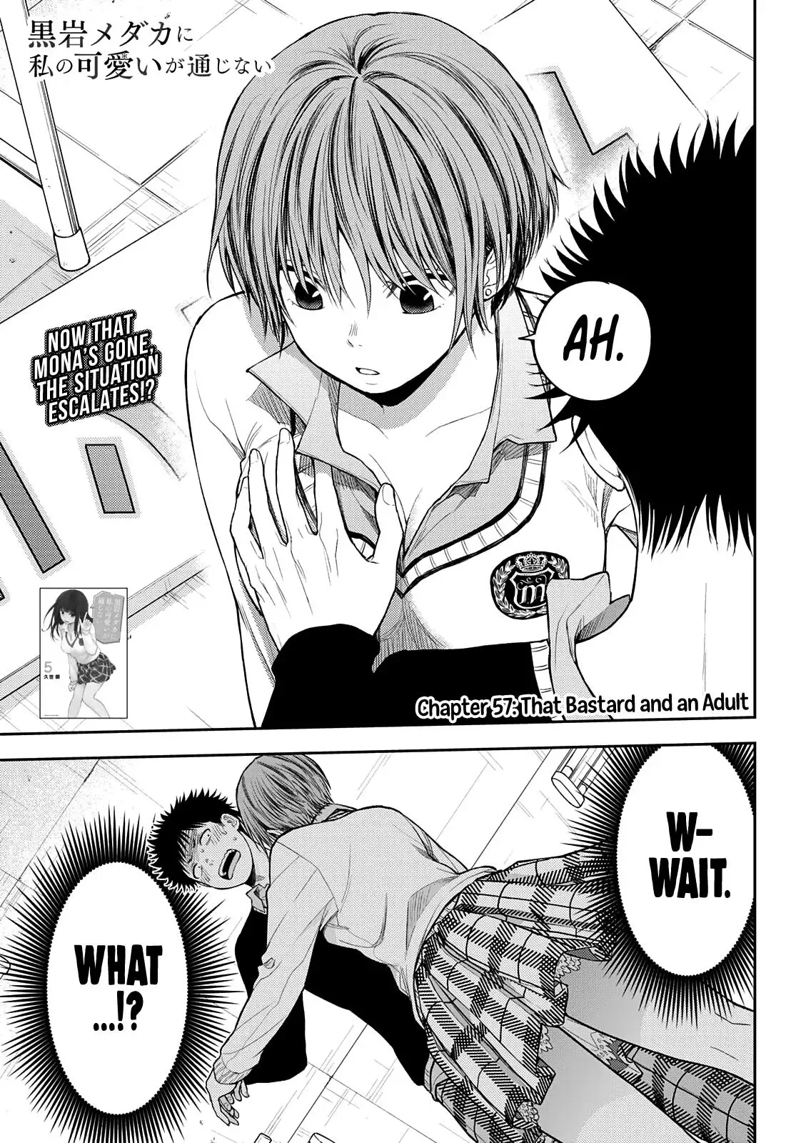 Kuroiwa Medaka ni Watashi no Kawaii ga Tsuujinai Chapter 57 page 2