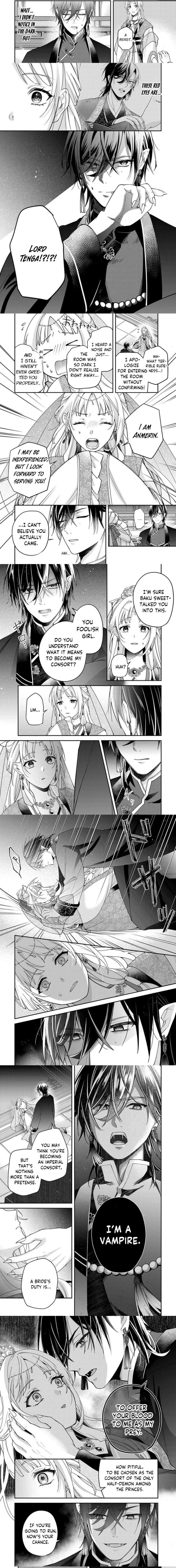 Kyuuketsu Ouji to Ikenie Hanayome Chapter 3 page 3