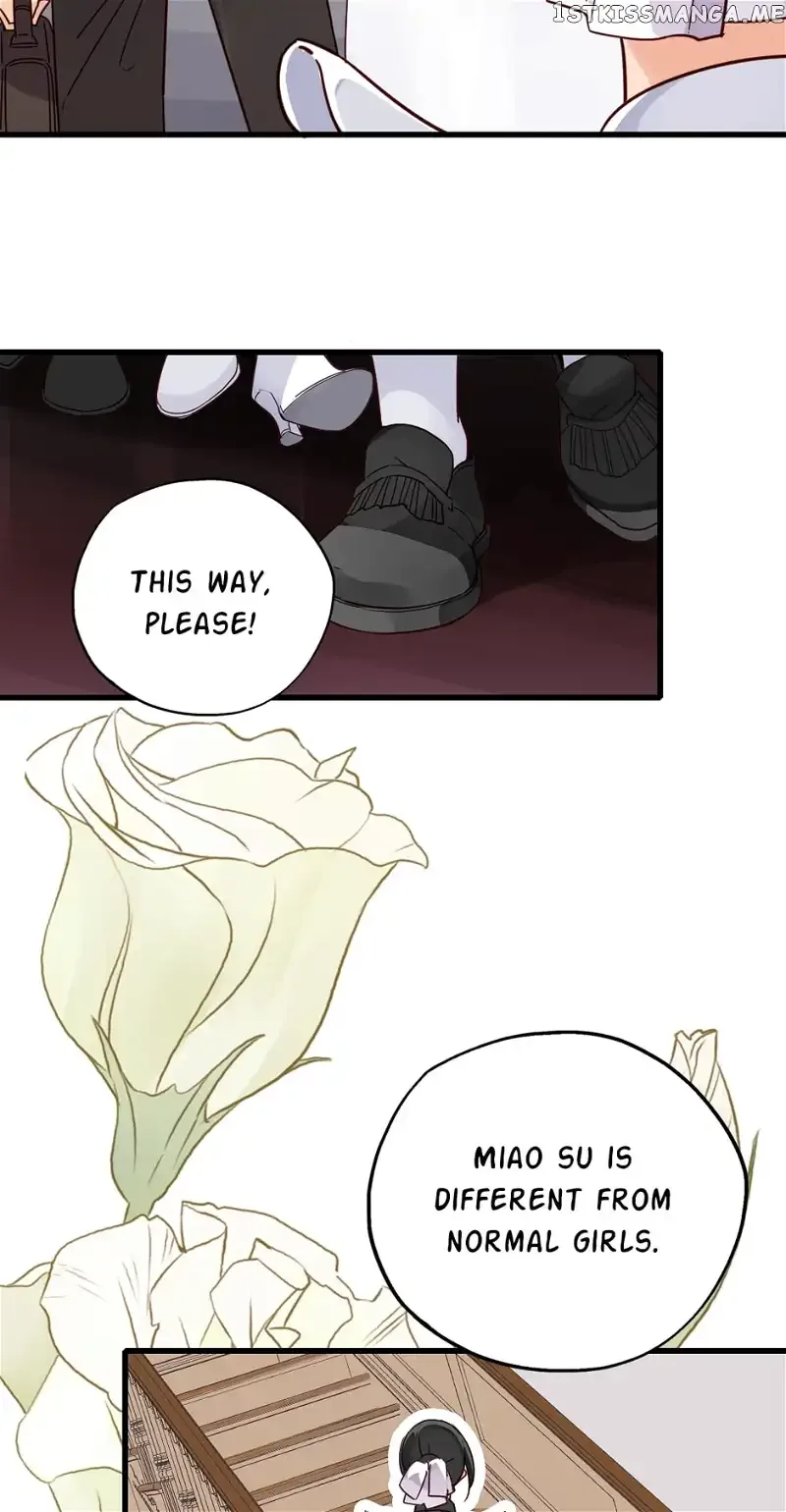 Lights, Camera, Love! Chapter 81 page 3