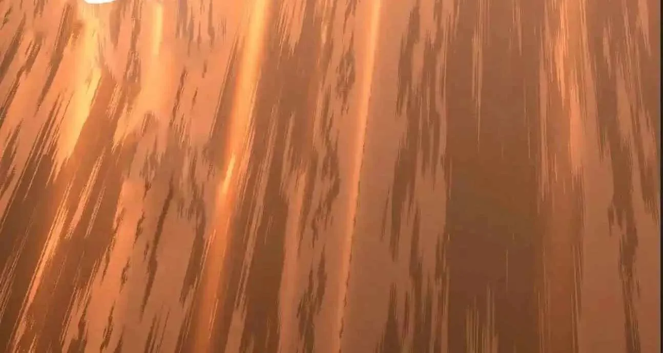 Logging 10,000 Years into the Future (Apex Future Martial Arts) Chapter 329 page 30