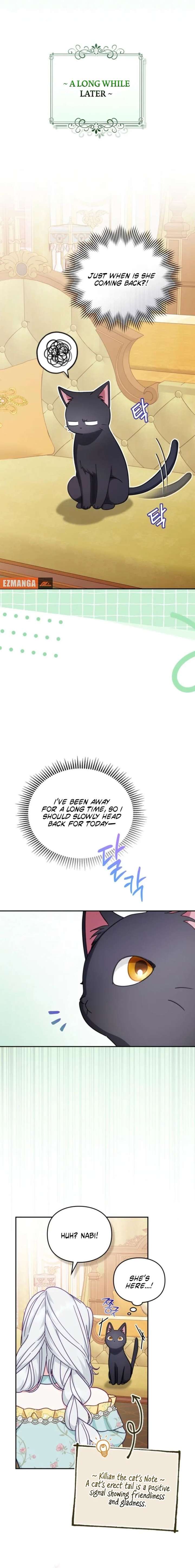 Looking for the Duchess’s Husband Chapter 16 page 19