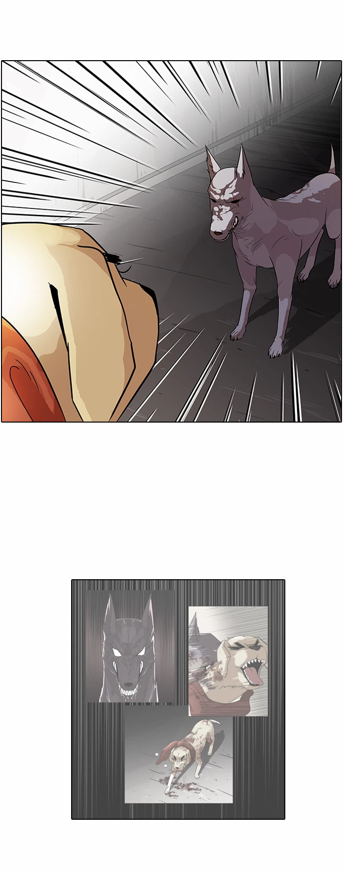 Lookism Chapter 70 page 29