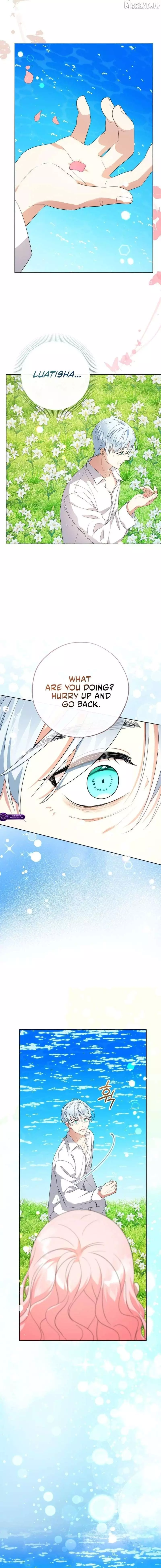 Lord Baby Runs A Romance Fantasy With Cash Chapter 118 page 17