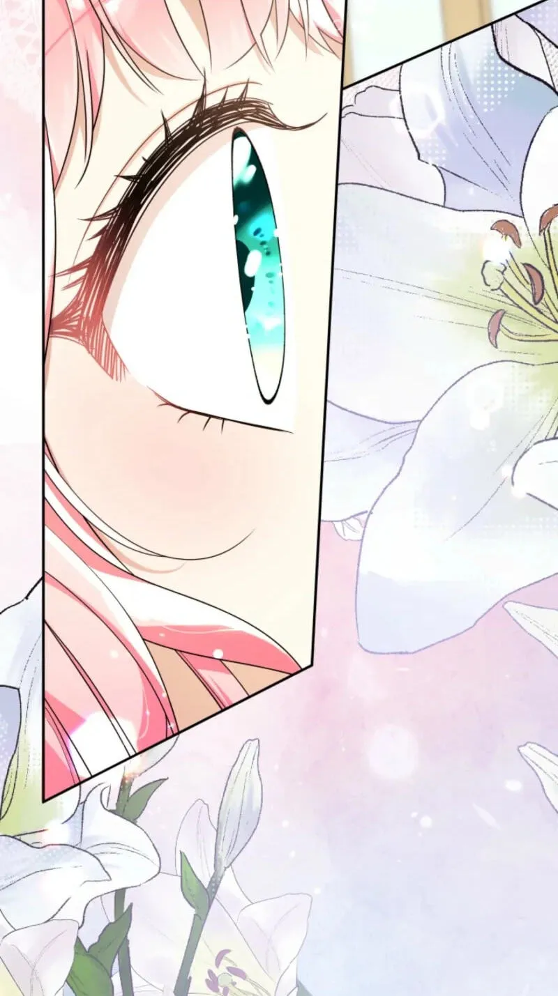 Lord Baby Runs A Romance Fantasy With Cash Chapter 127 page 13