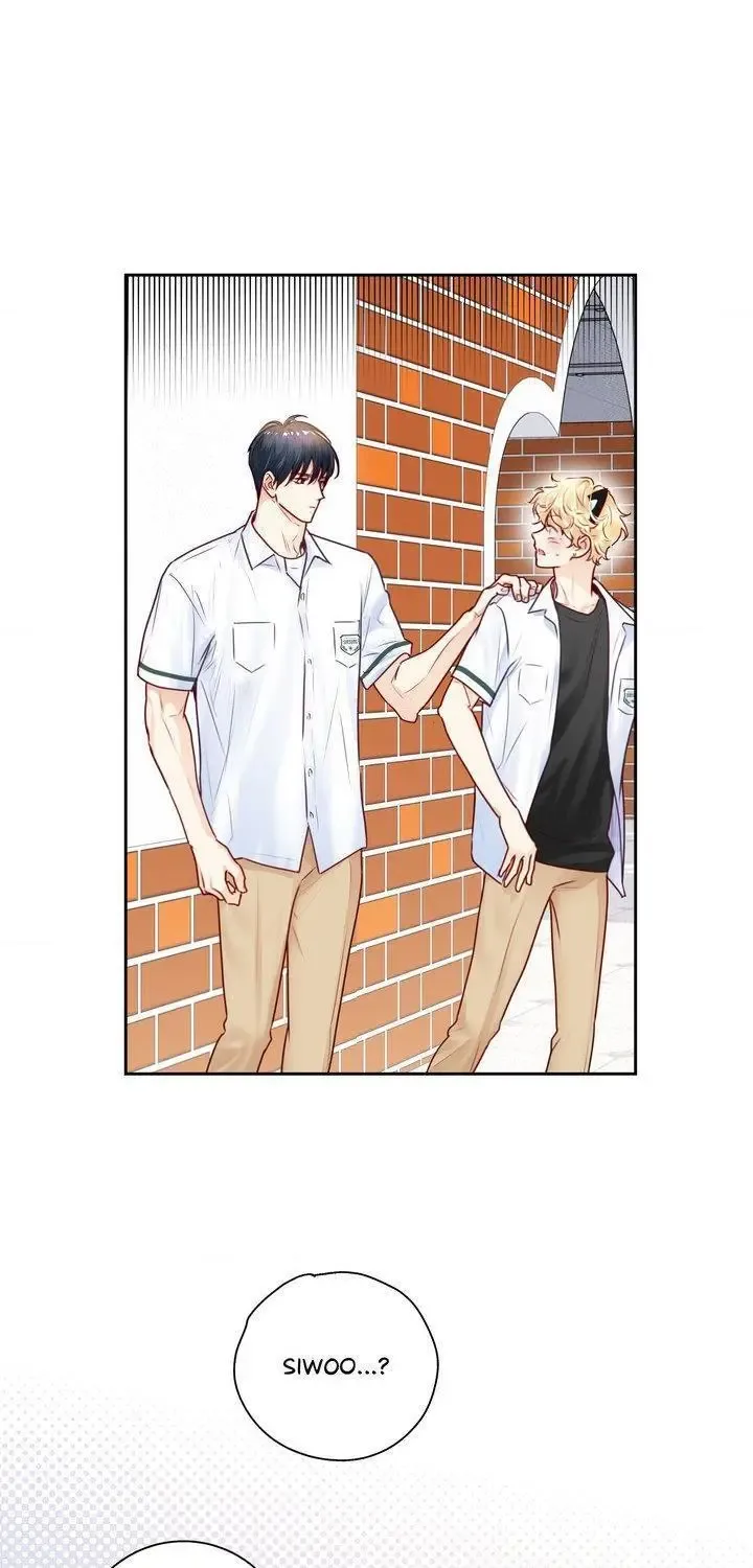 Love Is An Illusion Chapter 153 page 9