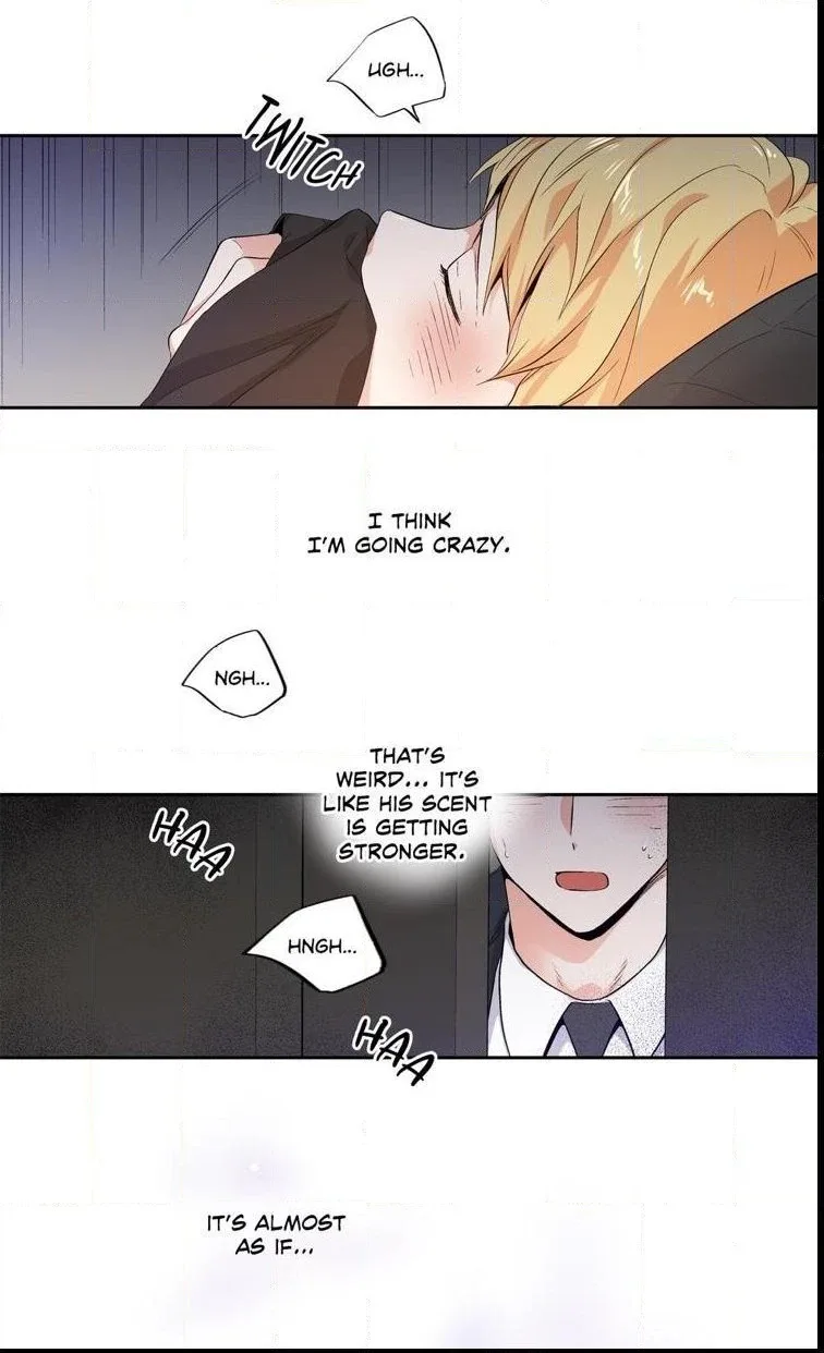 Love Is An Illusion Chapter 70 page 15