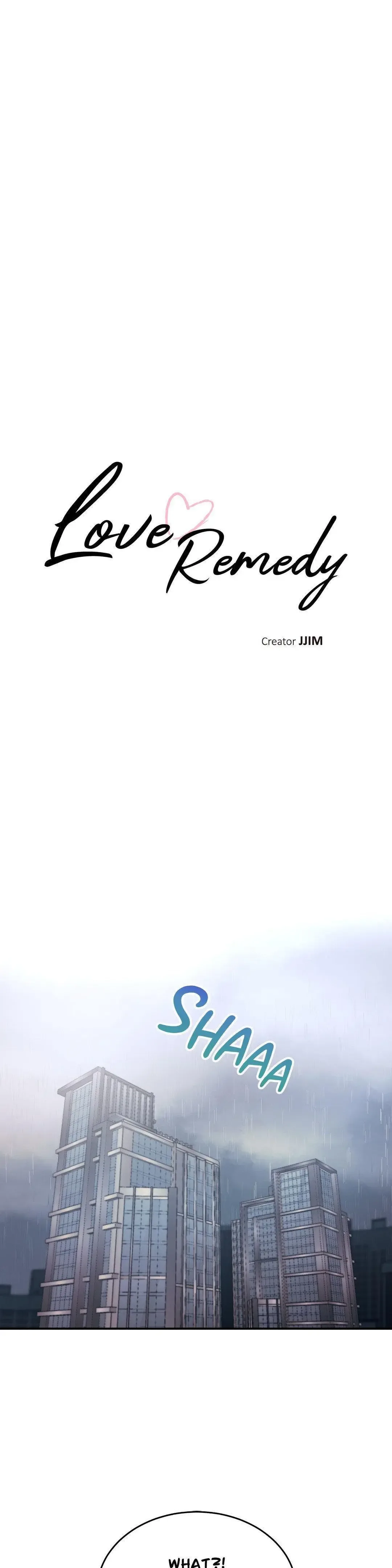 Love Remedy Chapter 20 page 13