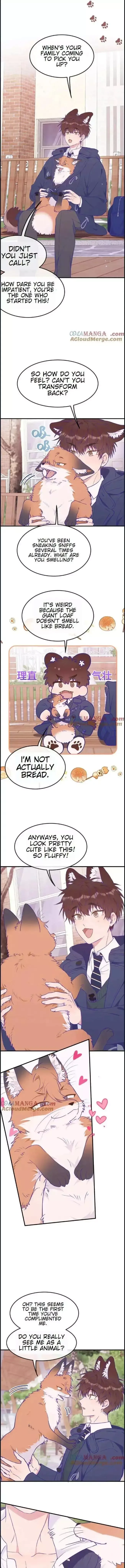 Lying Puppies Get Eaten Chapter 33 page 4