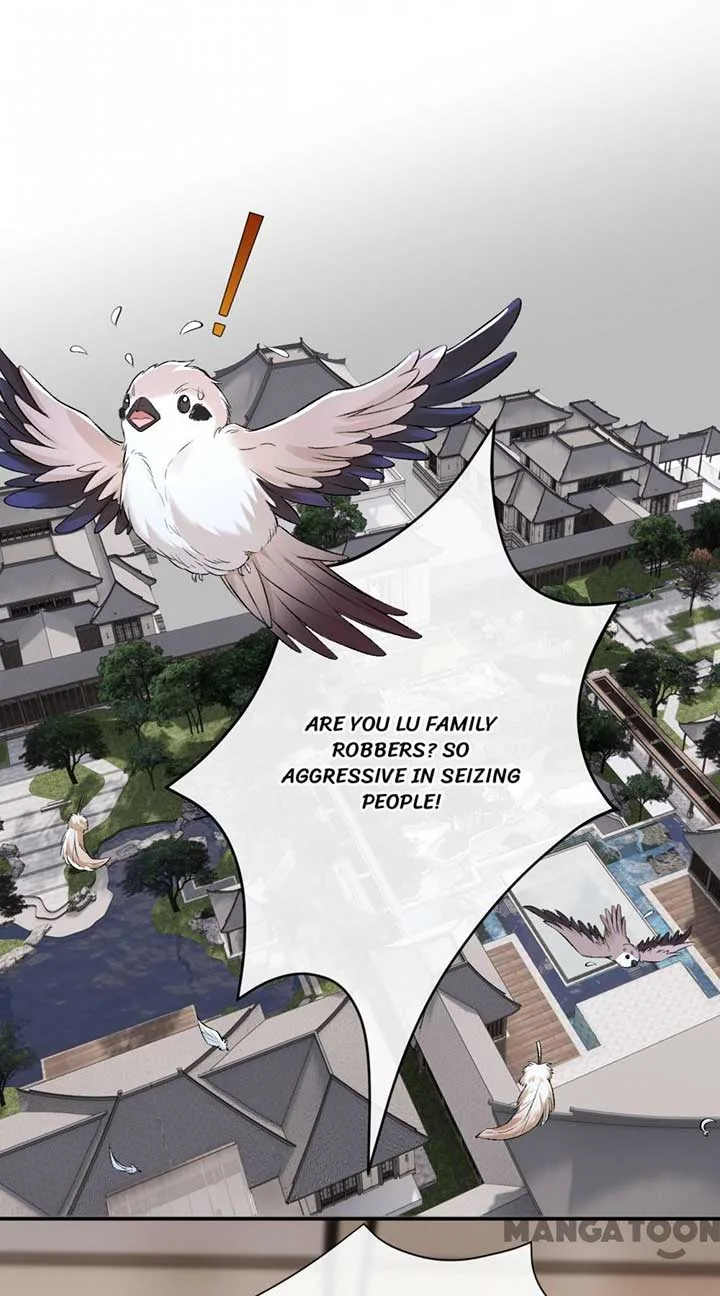 Madam and Her Daily Online Face-Slapping Chapter 19 page 2