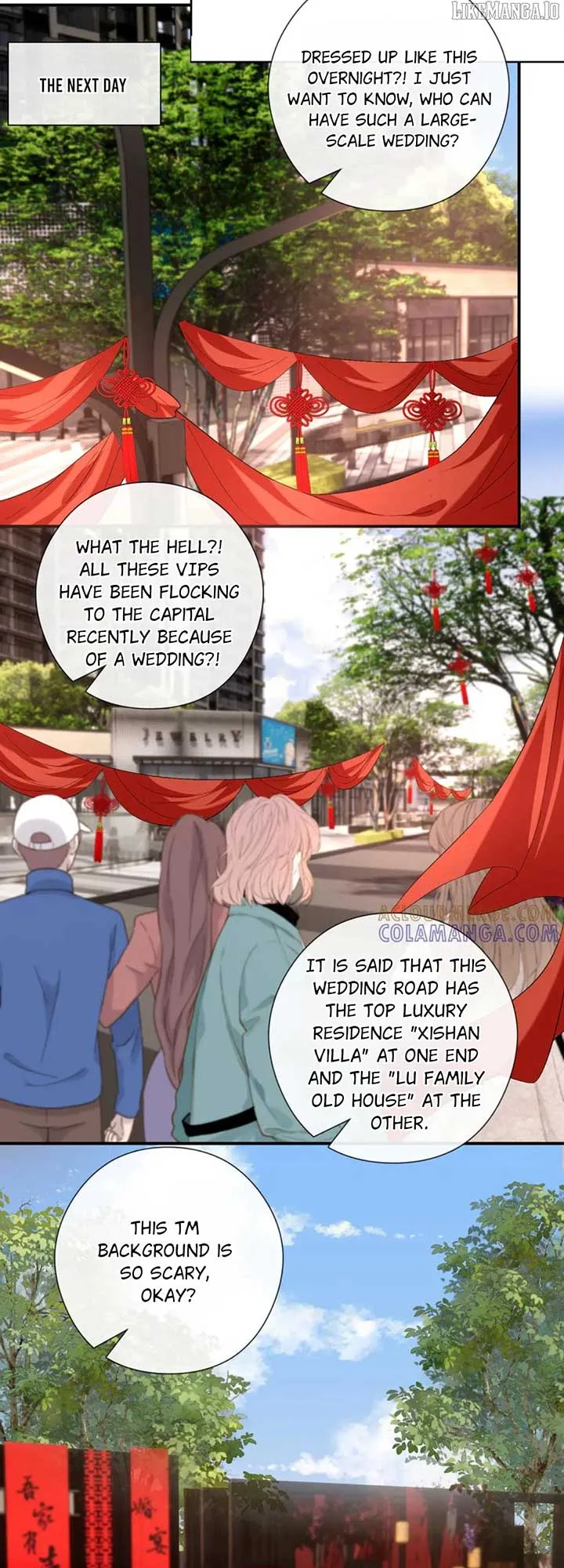 Madam and Her Daily Online Face-Slapping Chapter 204 page 17