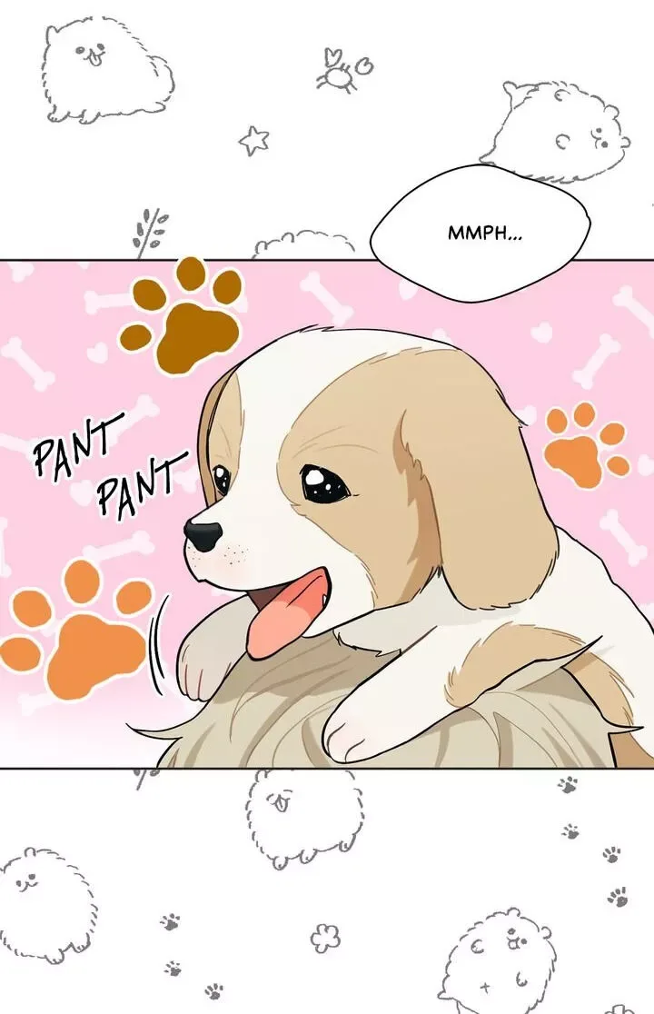 Marked By King BS Chapter 26 page 13