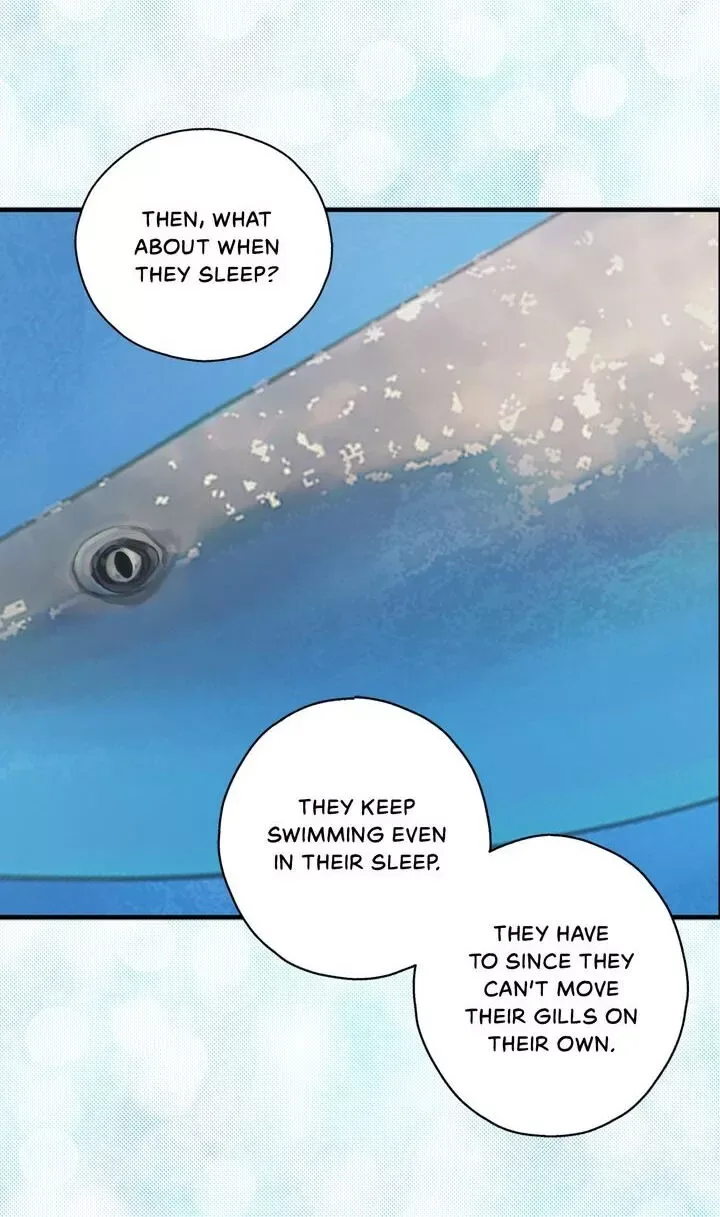 Marked By King BS Chapter 53 page 17