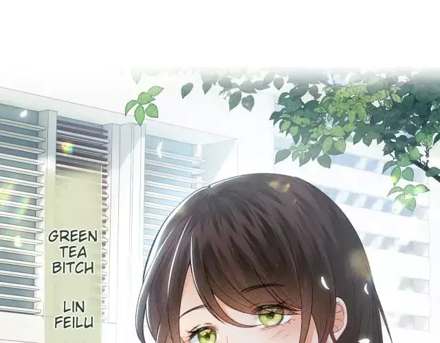 Max level green tea transmigrates into little pitiful one Chapter 1 page 15