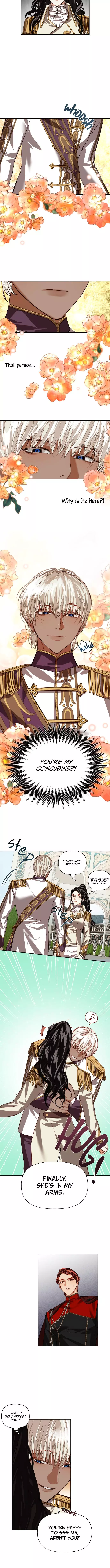 men of the harem Chapter 12 page 9