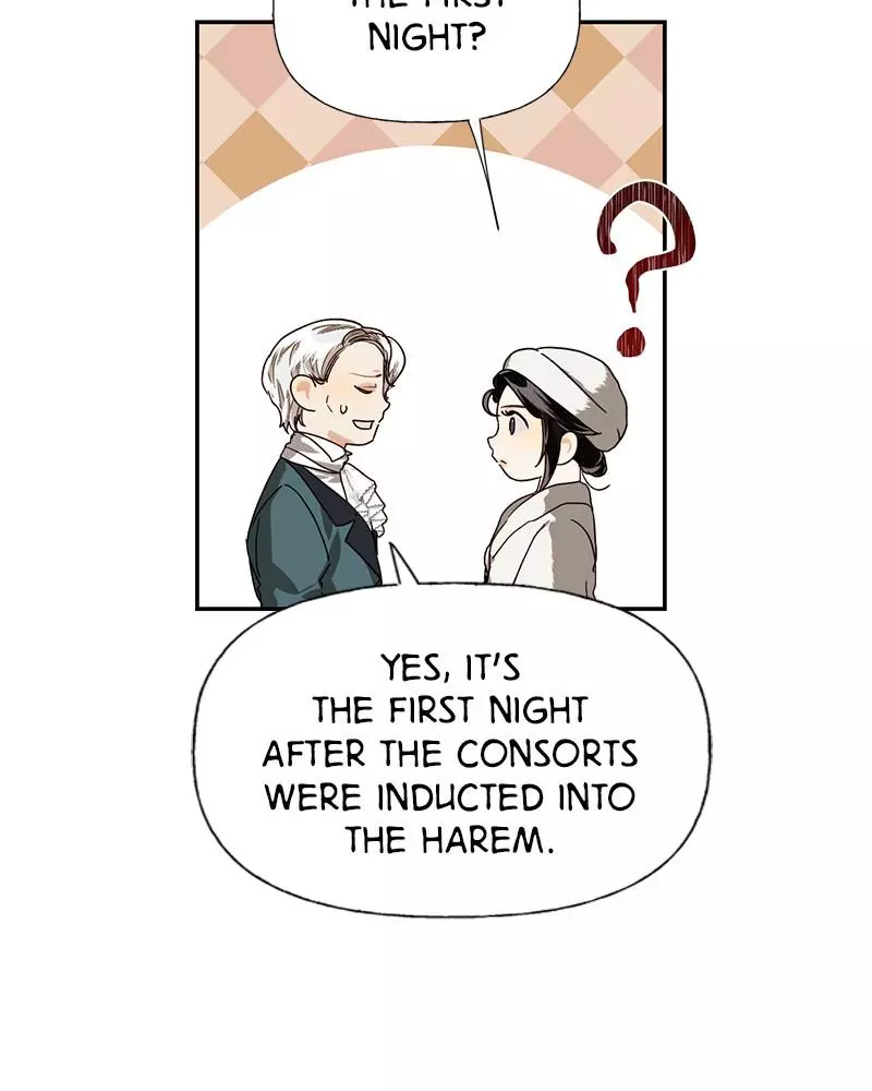 men of the harem Chapter 19 page 28
