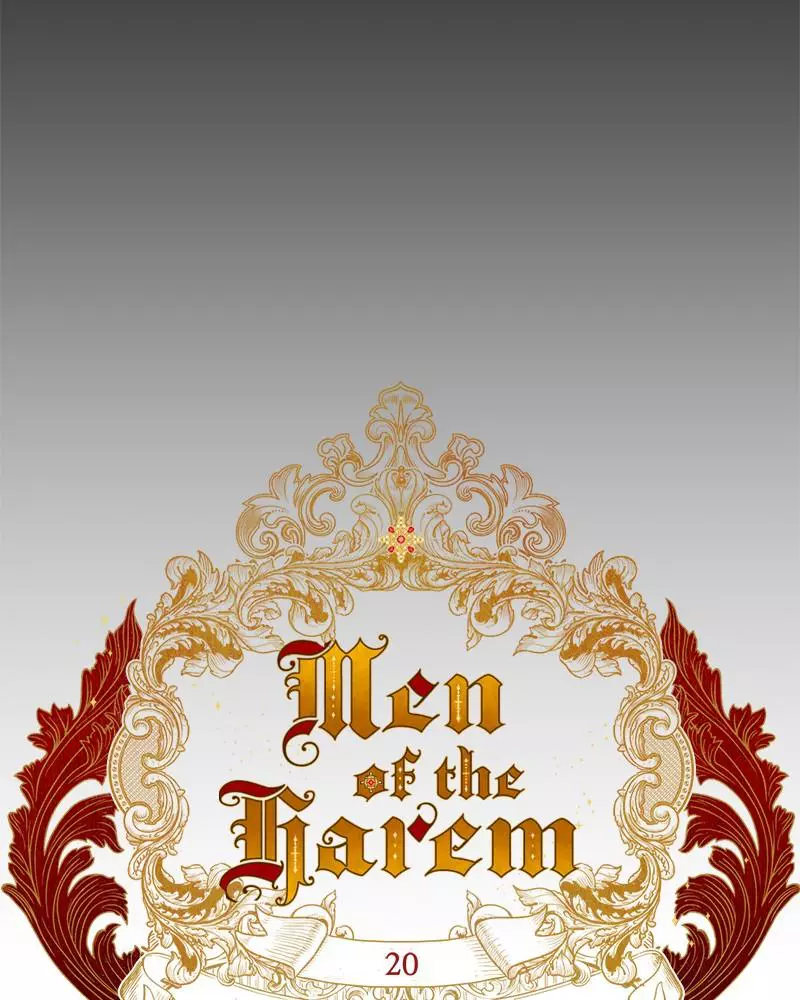 men of the harem Chapter 20 page 29