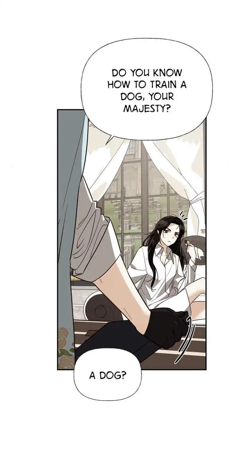 men of the harem Chapter 36 page 48