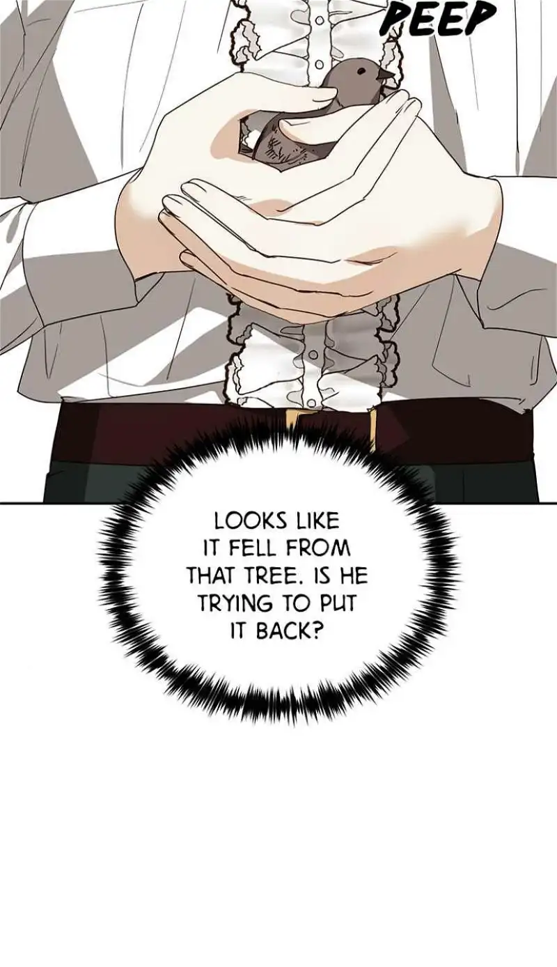 men of the harem Chapter 37 page 4