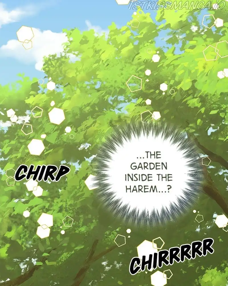 men of the harem Chapter 84 page 16