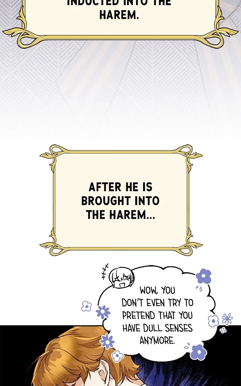 men of the harem Chapter 87 page 73