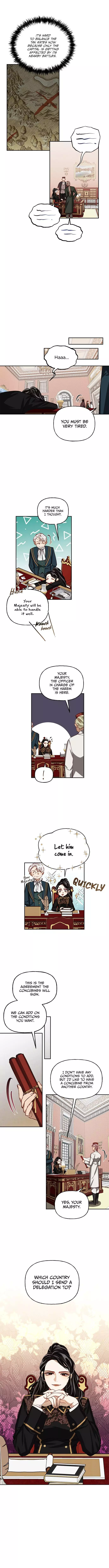 men of the harem Chapter 9 page 12