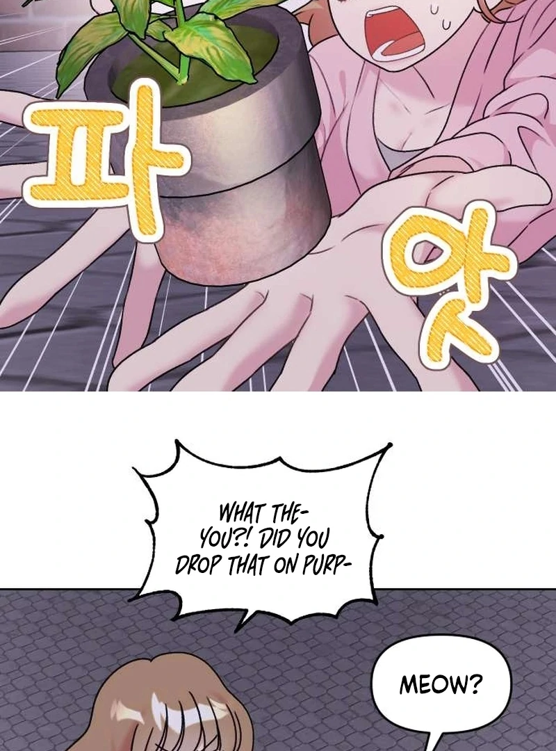 Meow-Meow Squeak-Squeak! Chapter 4 page 13