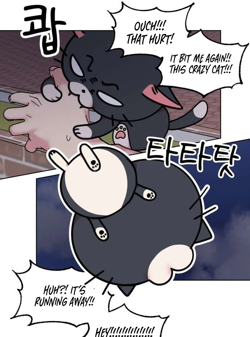 Meow-Meow Squeak-Squeak! Chapter 4 page 30