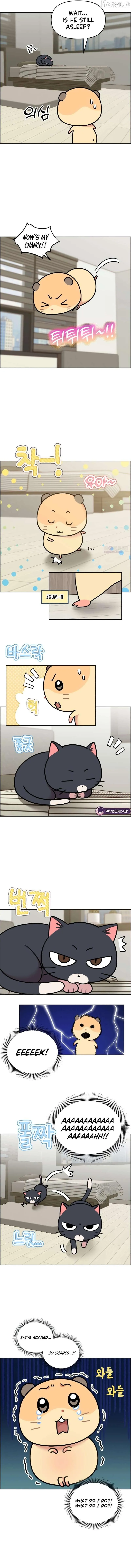 Meow-Meow Squeak-Squeak! Chapter 50 page 4