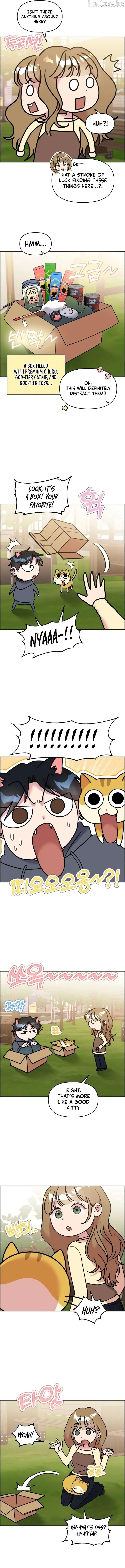 Meow-Meow Squeak-Squeak! Chapter 53 page 3
