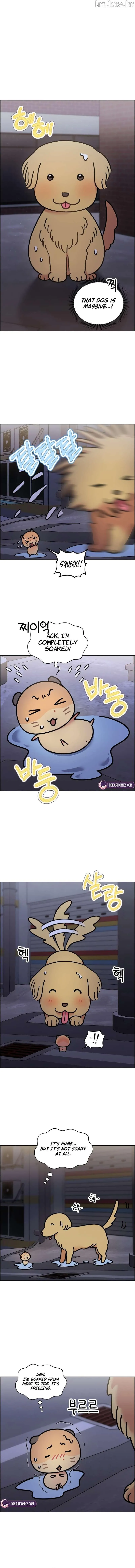 Meow-Meow Squeak-Squeak! Chapter 61 page 2
