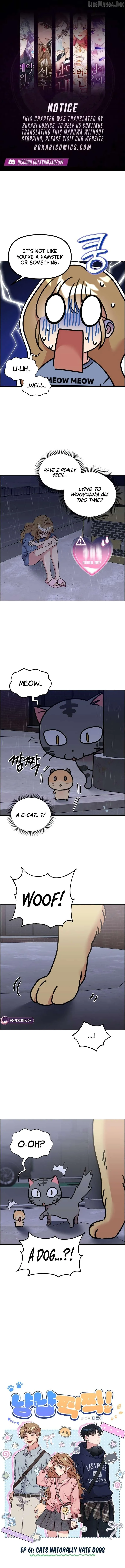 Meow-Meow Squeak-Squeak! Chapter 61 page 1