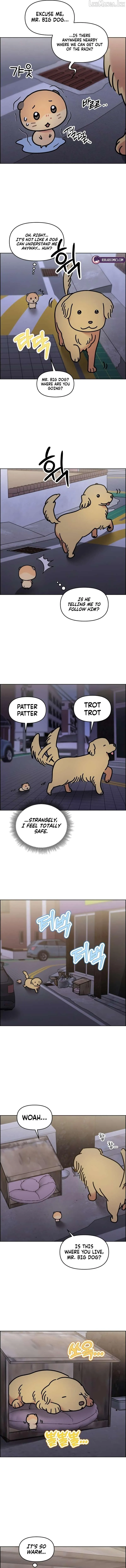 Meow-Meow Squeak-Squeak! Chapter 61 page 3