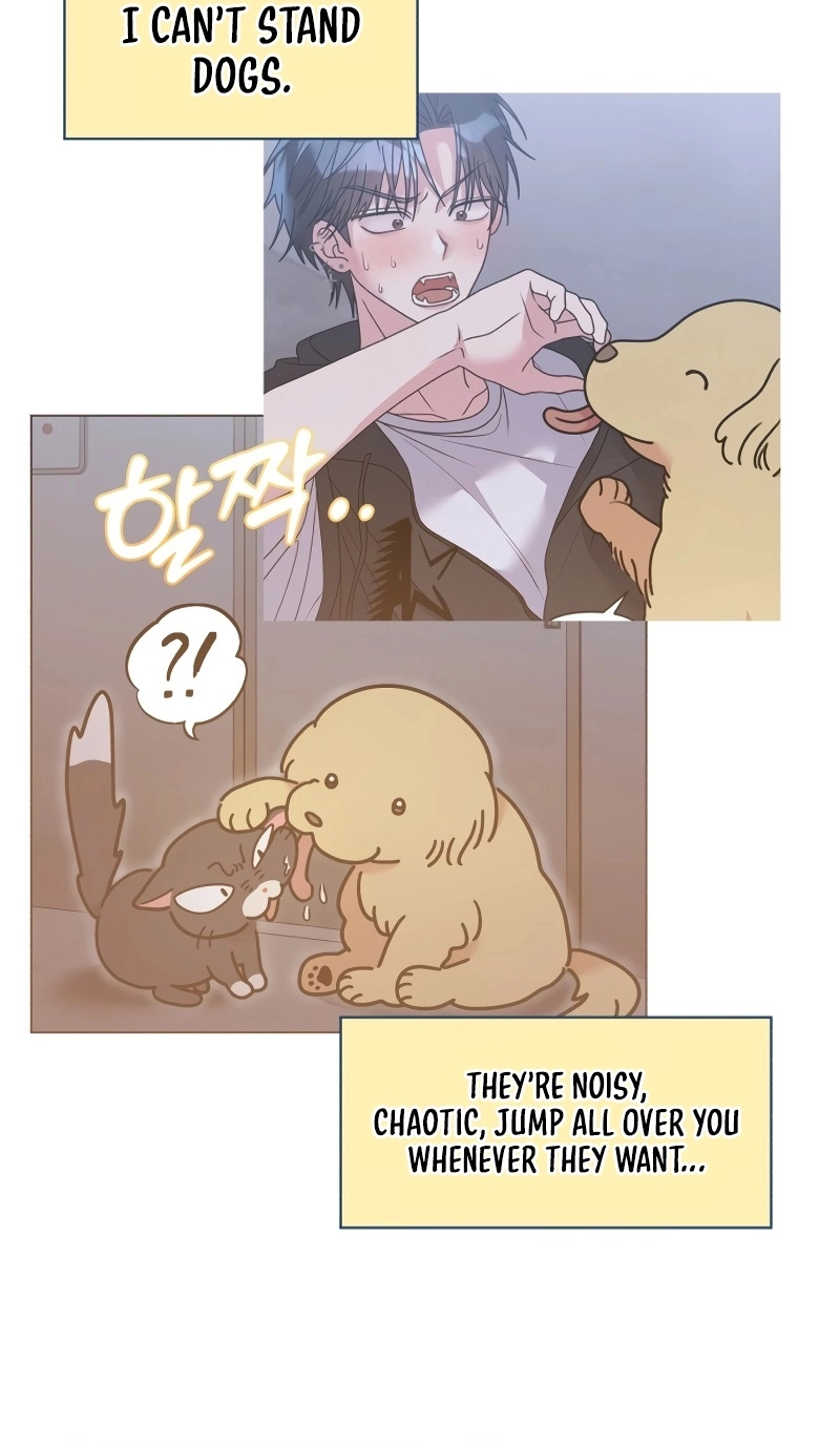 Meow-Meow Squeak-Squeak! Chapter 78 page 7