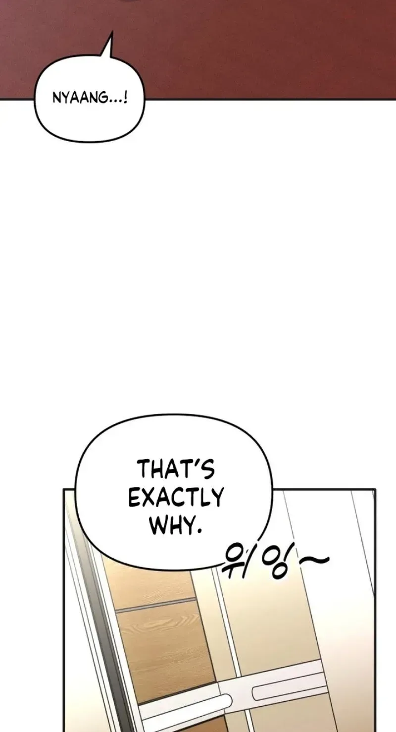 My Boyfriend Is a Cat Chapter 26 page 45