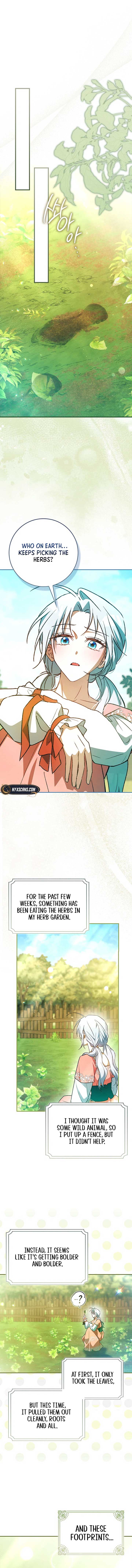My Contract Husband Resembles the Male Protagonist Chapter 14 page 2