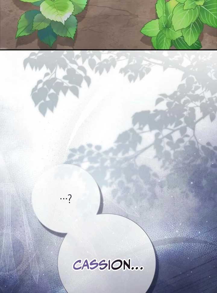 My Contract Husband Resembles the Male Protagonist Chapter 25 page 23