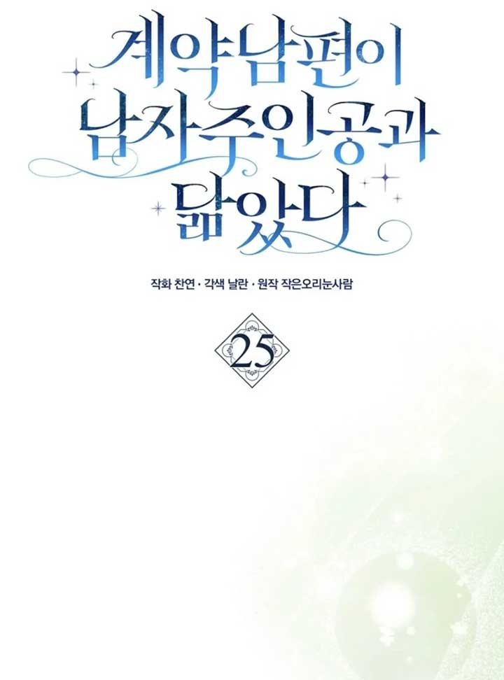 My Contract Husband Resembles the Male Protagonist Chapter 25 page 28